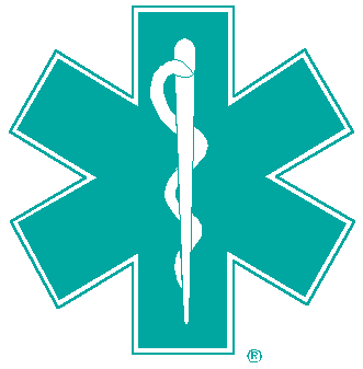 Paramedic Logo
